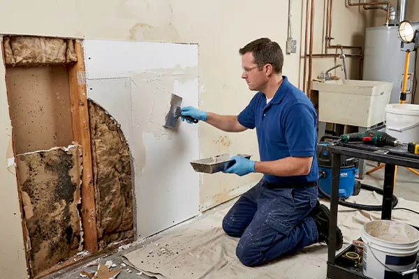 Mold and Drywall Repair Grand Prairie