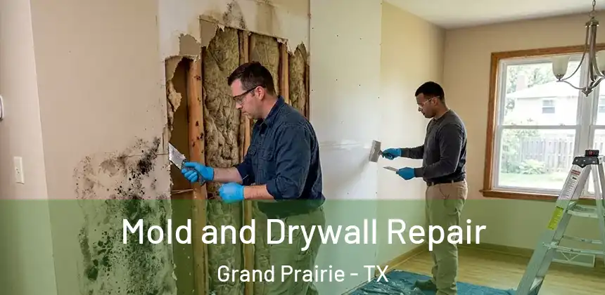  Mold and Drywall Repair Grand Prairie - TX