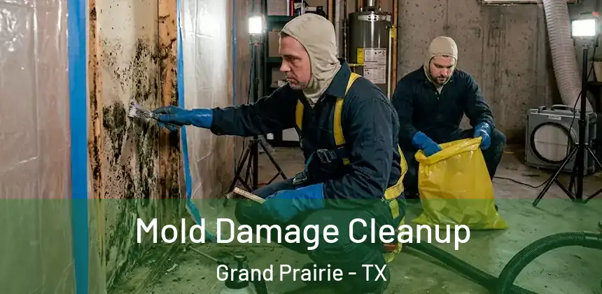 Mold Damage Cleanup Grand Prairie - TX