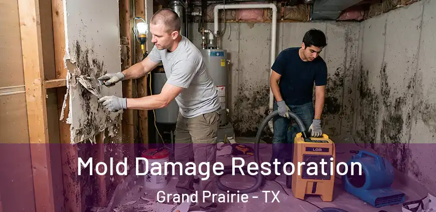 Mold Damage Restoration Grand Prairie - TX