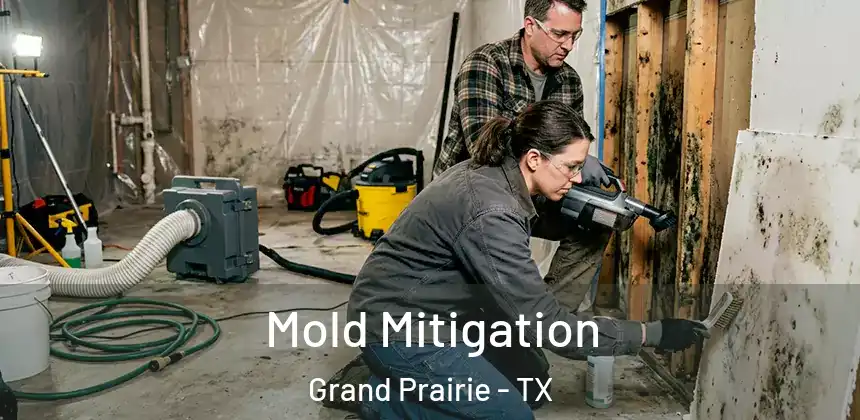  Mold Mitigation Grand Prairie - TX