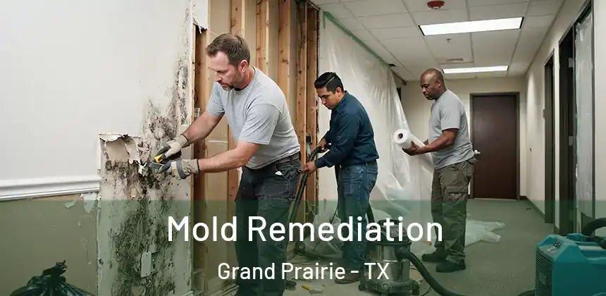 Mold Remediation Grand Prairie - TX