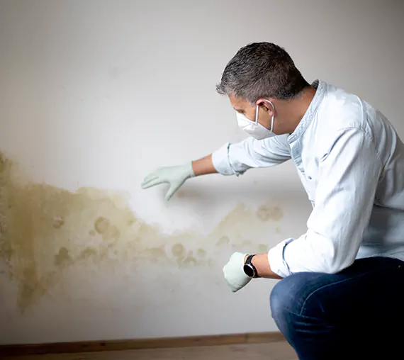 Mold Removal Service in Grand Prairie, TX