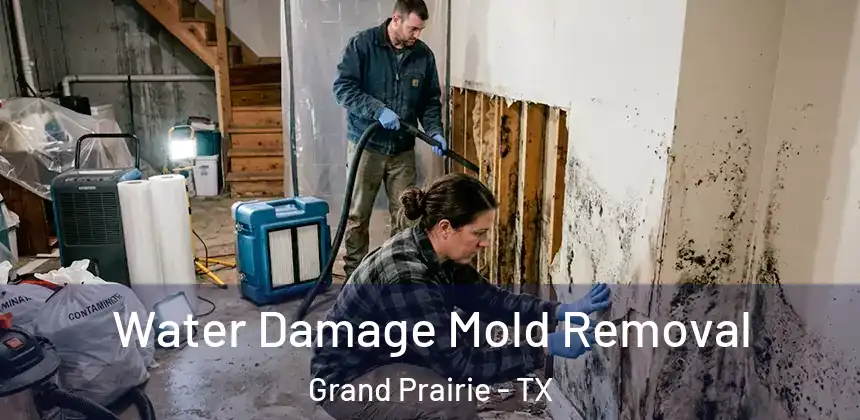 Water Damage Mold Removal Grand Prairie - TX